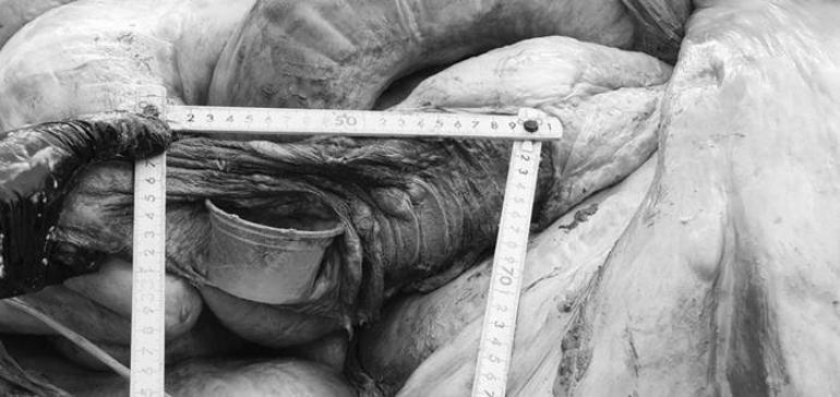 Yerliler sahilde buldu 3 ton ağırlığında ölüm nedeni bilinmiyor