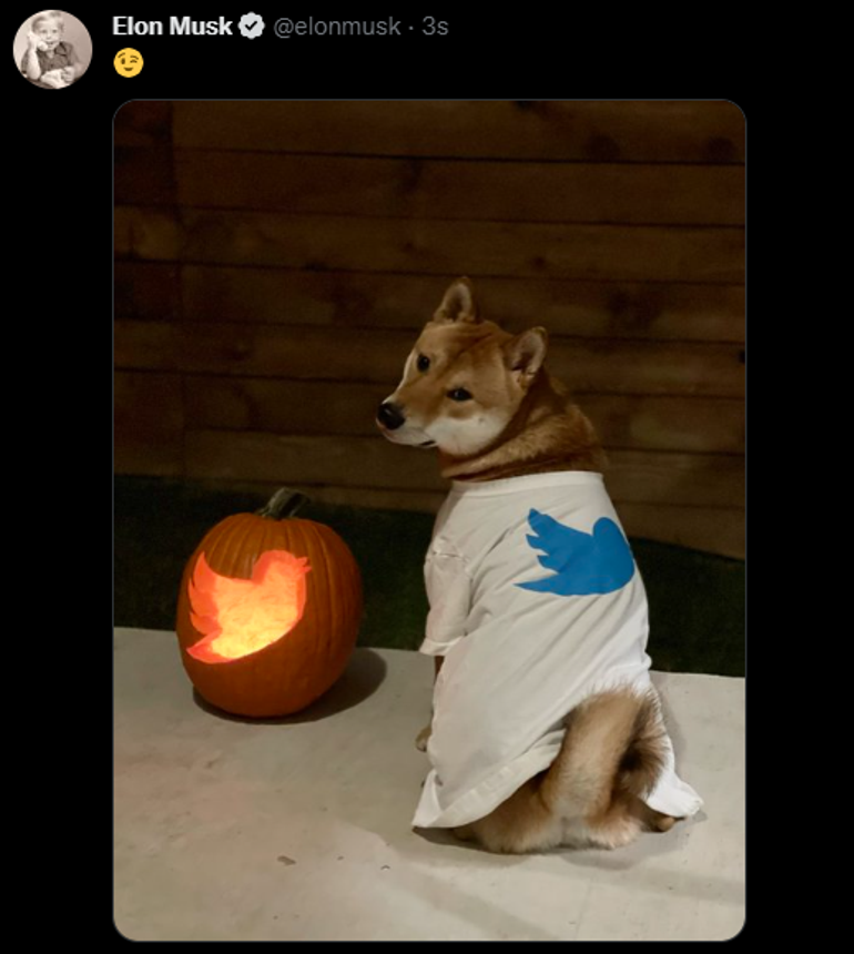 Dogecoin’de Elon Musk rüzgarı