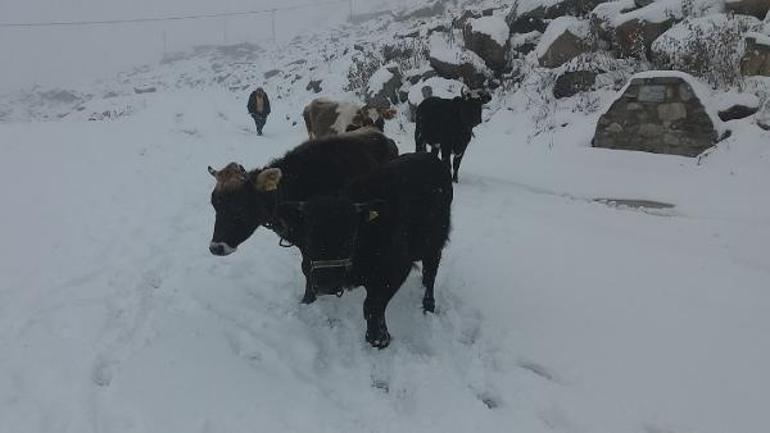Rizenin yükseklerinde kar yağışı Yaylacılar dönüşe geçti