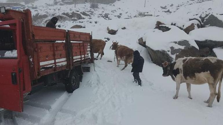 Rizenin yükseklerinde kar yağışı Yaylacılar dönüşe geçti