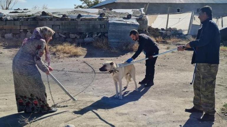 İlçede kuduz paniği Hastanelik olan 2 çocukla ilgi açıklama geldi: Tanı kesinleşti