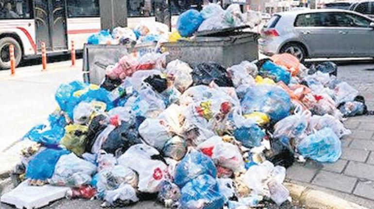 İzmir’in dağlarında çiçekler solacak