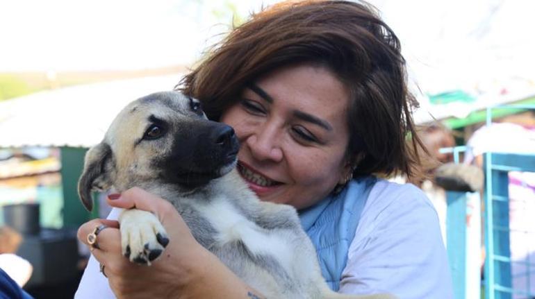GSK Türkiye çalışanları bin sokak hayvanına umut oldu