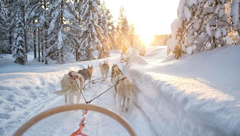 Sömestr tatilinde Lapland turuna çıkmanız için geçerli 5 neden