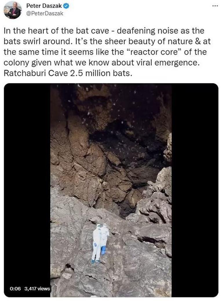 Taylanddaki mağaradan paylaştı: Burası pandeminin nükleer çekirdeği