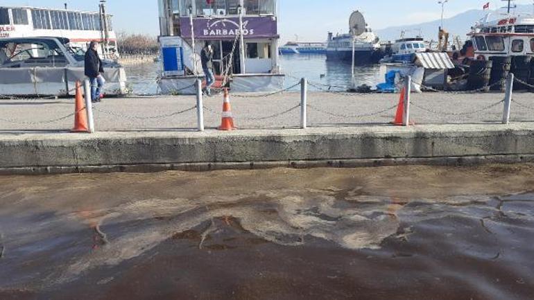 İzmit Körfezi, kısmen kahverengiye büründü