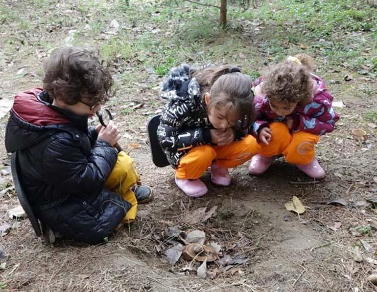 Bu ana sınıfında öğrenciler saymayı böceklerle öğreniyor