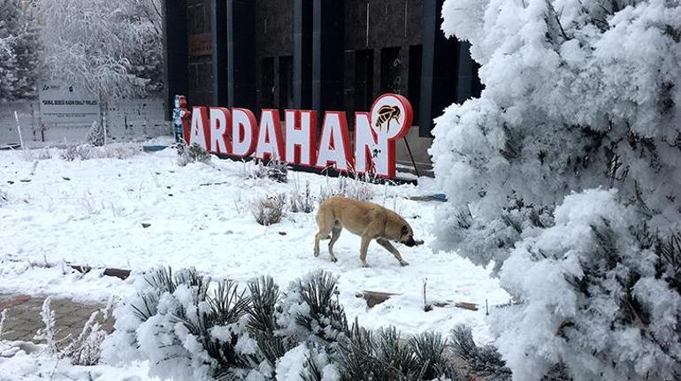 Yılbaşında İstanbula kar yağacak mı 20 kent radara takıldı beyaz alarm