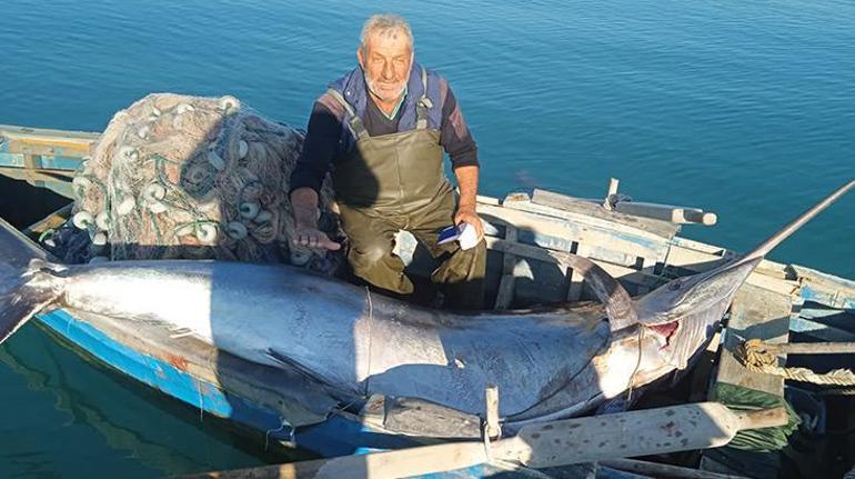 Adanada balıkçılar, 274 kiloluk Blue Marlin yakaladı
