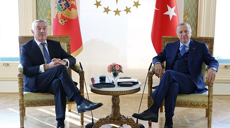 Cumhurbaşkanı Erdoğan, Djukanovic​​​​​​​ ile görüştü