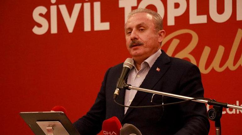 TBMM Başkanı Şentop: Türkiyenin dostluğu çok kıymetlidir, ama düşmanlığı da çok tehlikelidir