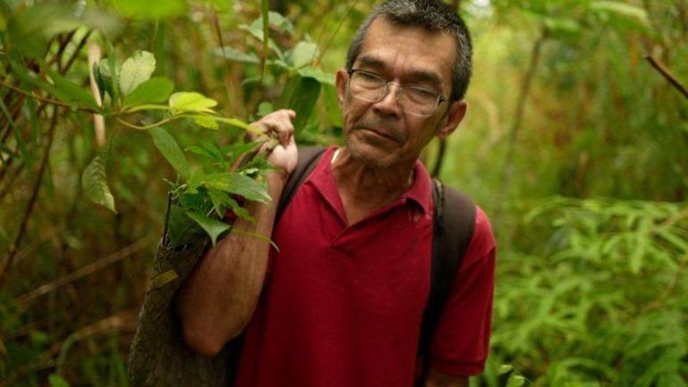 İklim değişikliği: Sierra Madre dağlarındaki yağmur ormanından kalanı koruma mücadelesi