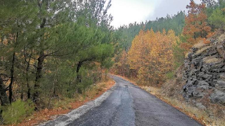 Yol sizi nereye götürürse oraya gidin