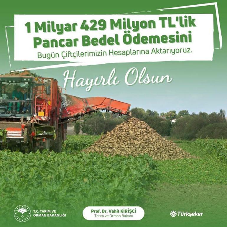 Pancar ödemeleri hesaplara yatırılıyor