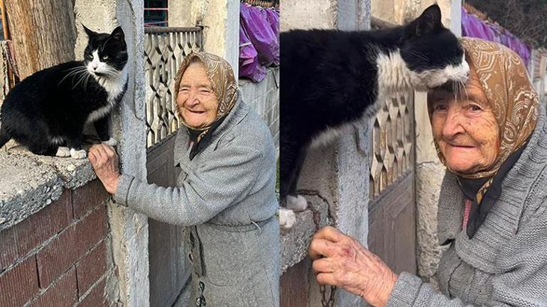 Bir kedi hayatını işte böyle değiştirdi Fahriye nine için mutluluğun sırrı 5 dakika