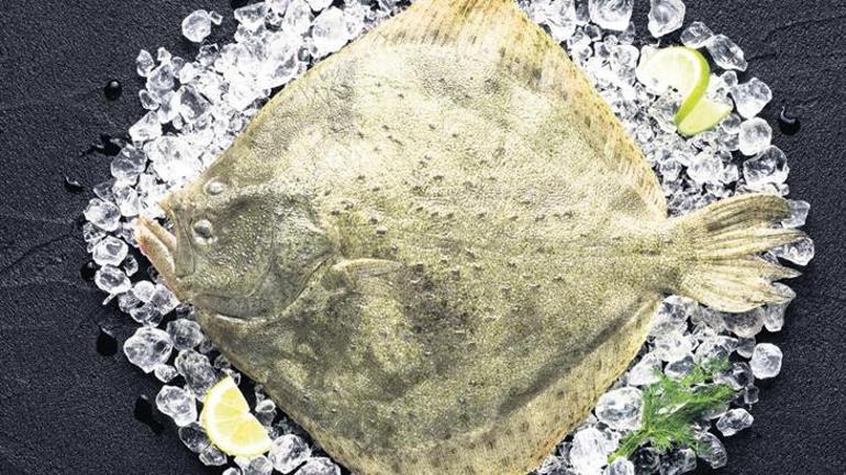 Kamuflaj ustası