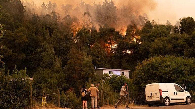 Şilide orman yangınlarında acı bilanço artıyor