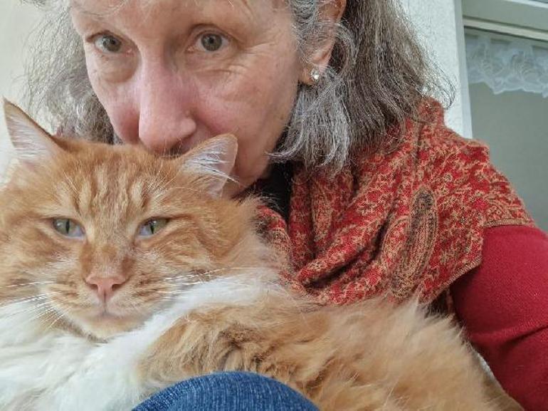 İsviçreli diplomat, kaybolan kedisine çiple kavuştu