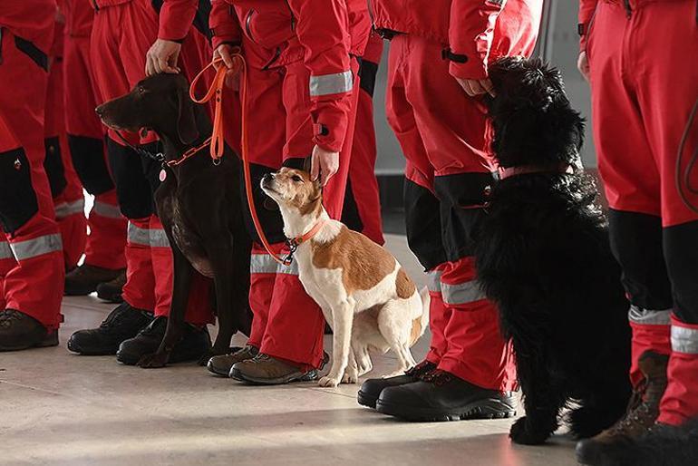 Dünya acele ediyor Türkiyeye akın akın geliyorlar