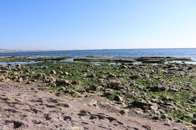 Marmarada deniz suyu çekildi Kandilliden açıklama geldi