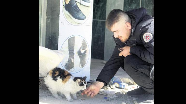 Kurtarılan can dostlarla avundular