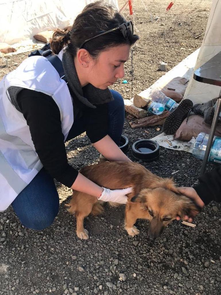 Evlenecekleri gün depremi yaşayan veteriner çift, gönüllü çalıştıkları Hatayda nikah kıydı