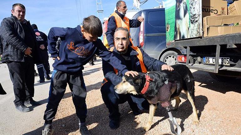 Enkaz altında patisini kaybeden köpeğe protez takıldı