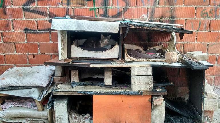 Kedi kulübelerini ateşe veren 13 yaşındaki çocuk yakalandı