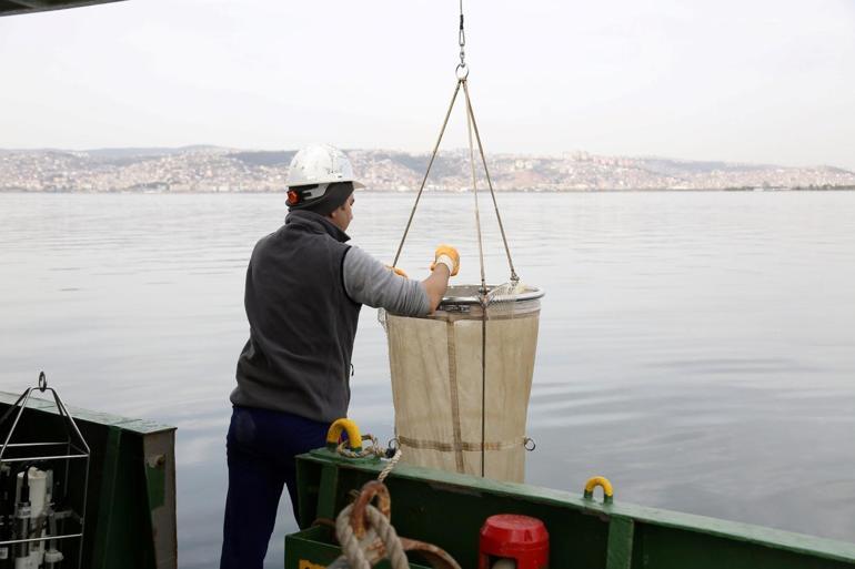 İzmit Körfezi’nde dip çamuru temizliği öncesinde biyoçeşitlilik tespiti