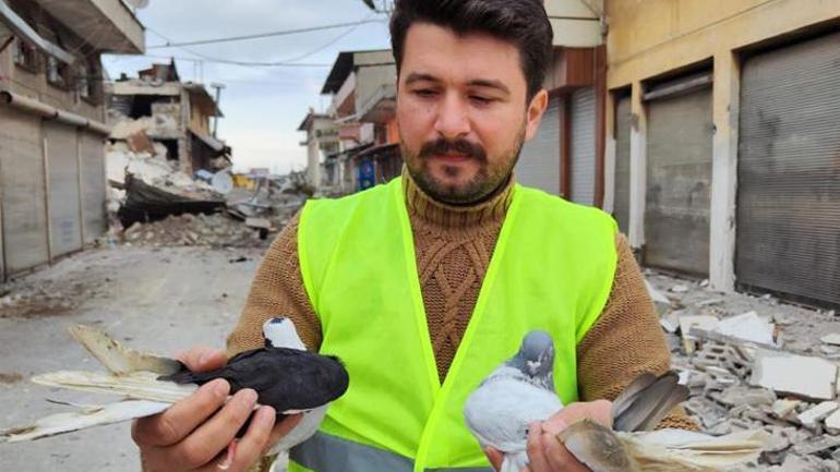 Bursadan Hataya bir vefa yolculuğu O görüntüyü izleyince yuvasız güvercinlerin kurtarıcısı oldu