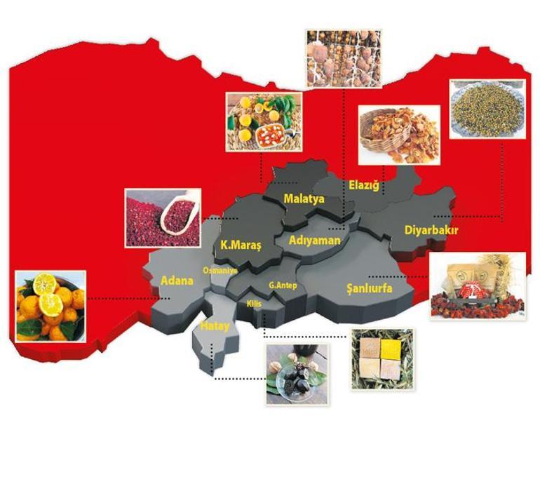 Ayakta kalmak için nereden başlamalı