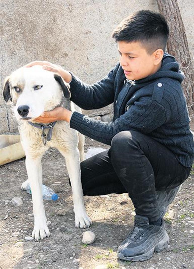 Köpeğim beni enkazdan çıkardı