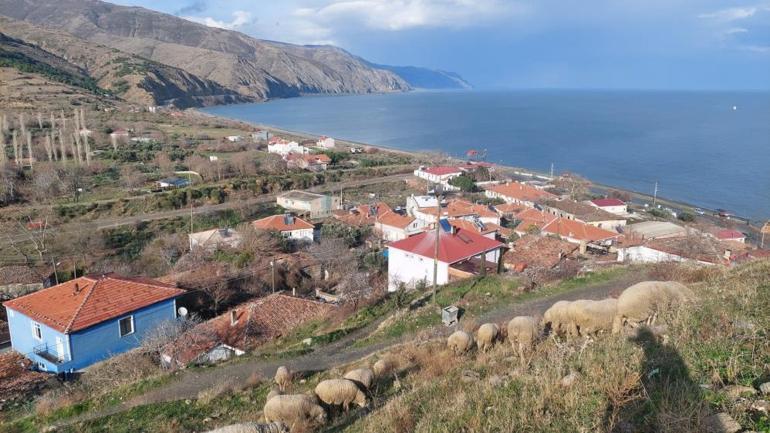 Dünyanın en hızlı hareket eden fayı burada İstanbul, Kocaeli, Bursa, Tekirdağ...  Çok tedirgin yaşıyoruz