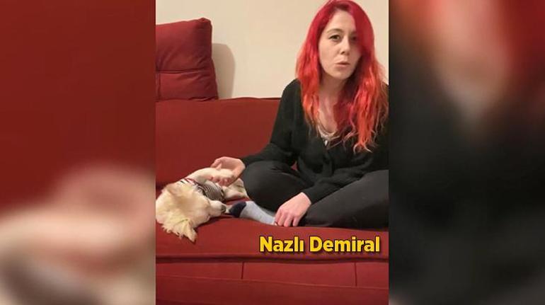 Köpek eğitiminde eziyet Hayvan sahiplerinden Harun Koska hakkında şikayet