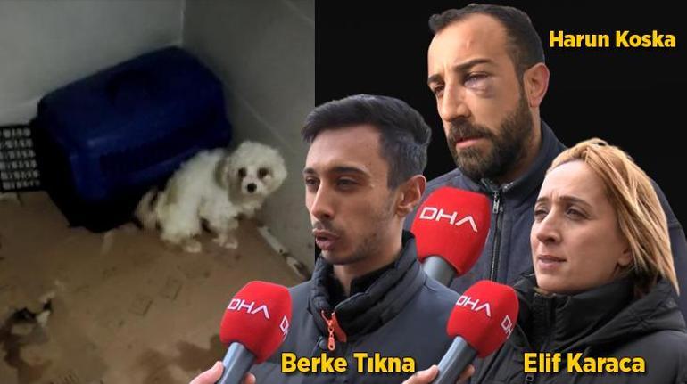 Köpek eğitiminde eziyet Hayvan sahiplerinden Harun Koska hakkında şikayet