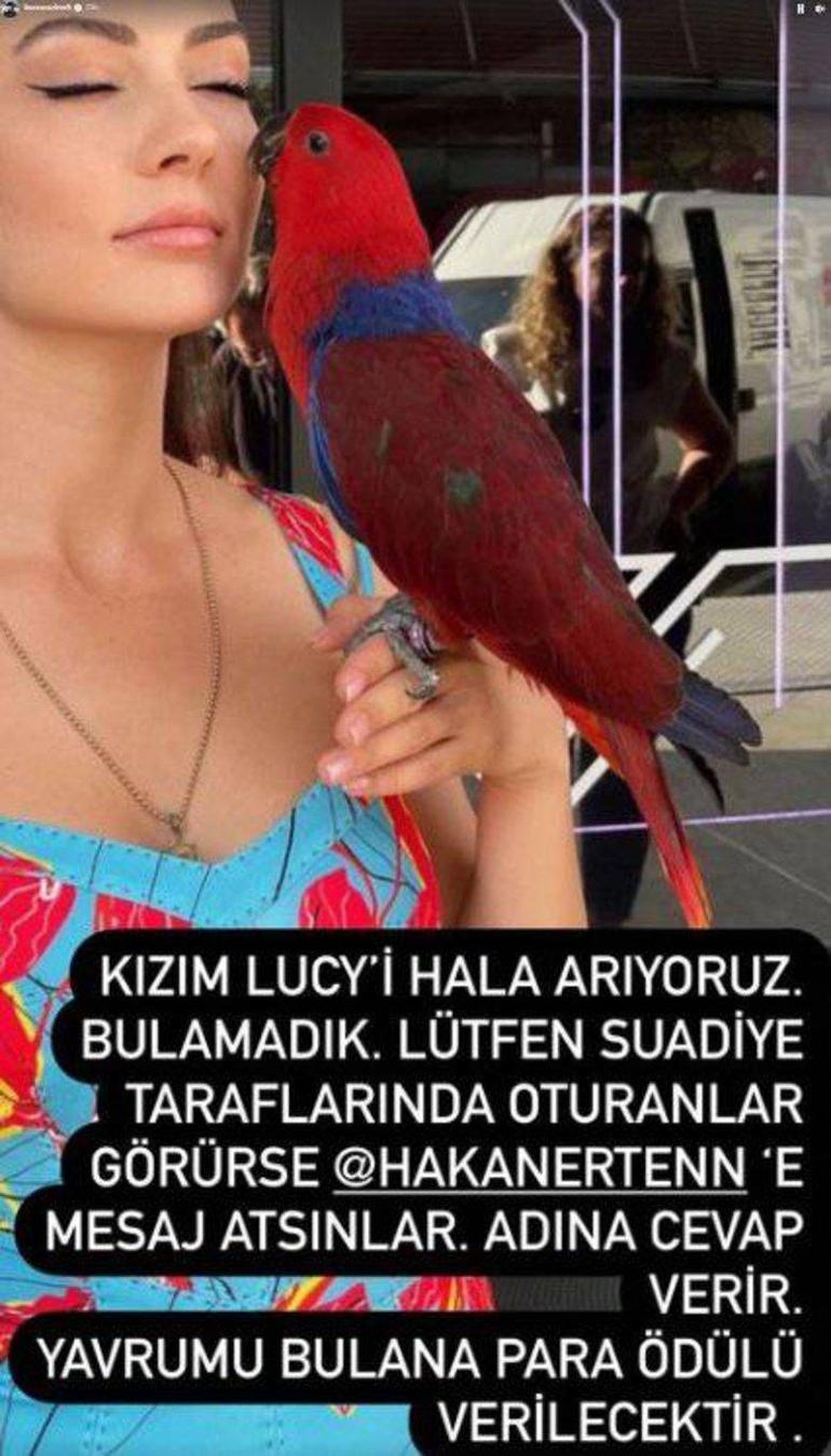 Burcu Özberkin papağanı kaçtı Bulana para ödülü verecek