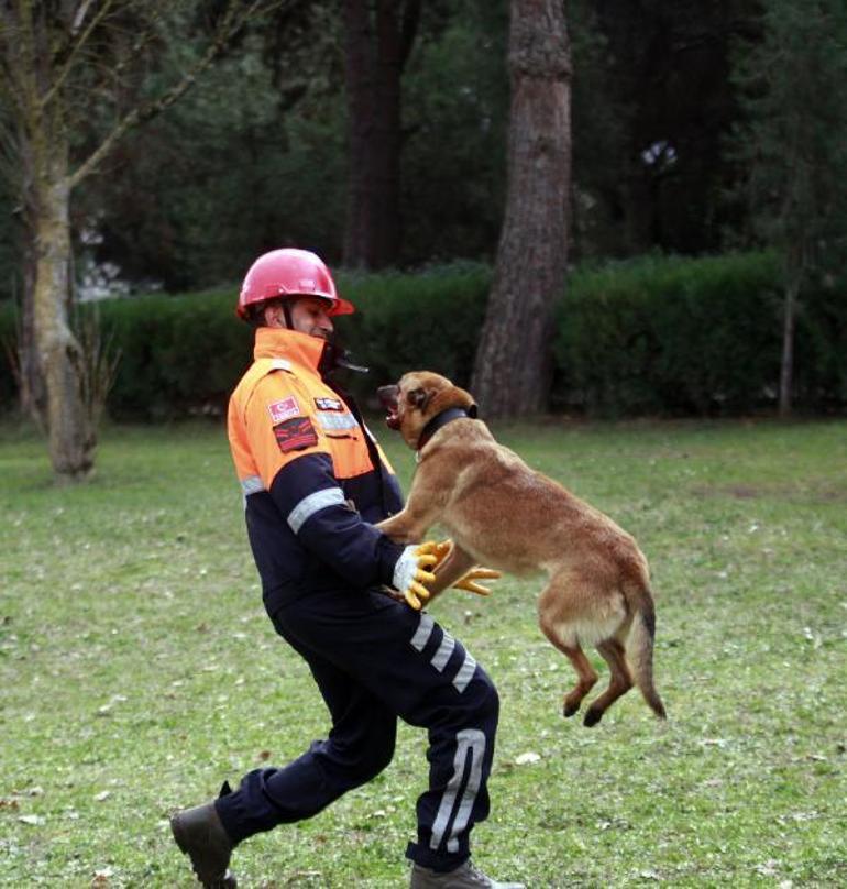 Depremde 78 kişiyi kurtaran köpeklerin branşlarını, askeri heyet belirliyor