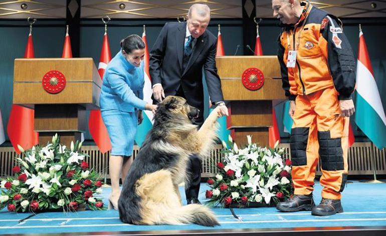 Yeni dönemin adı şahlanış dönemi