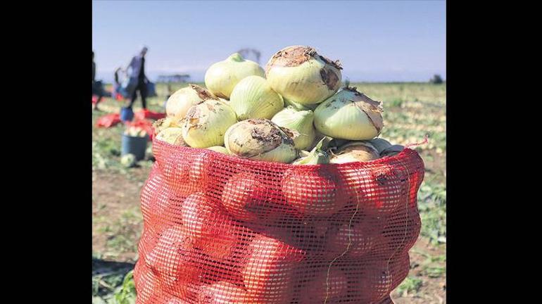 ‘Meyve sebze lüks olmasın’