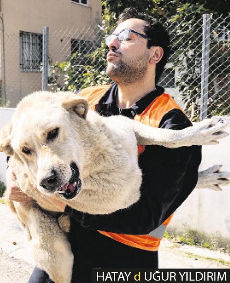 Şimdiki Zamanın Hikayesi