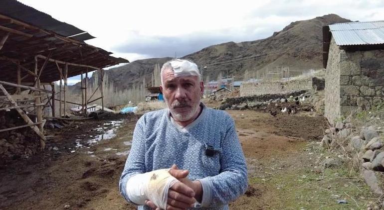 Erzurum’da kurt dehşeti 4 kişiyi yaraladı Bölgede kuduz alarmı
