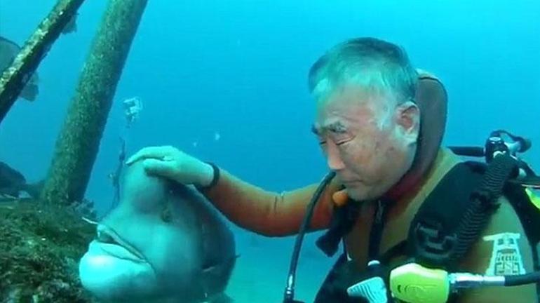 Ölümden kurtardığı balıkla böyle dost oldu Tam 30 yıldır görür görmez yanına geliyor