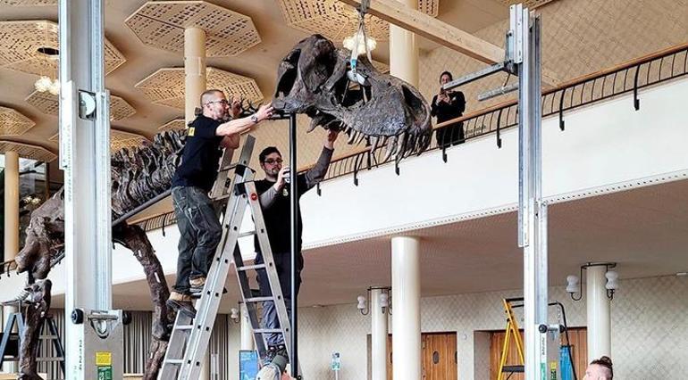 Var olan en muhteşem T-Rex iskeletlerinden biri 6,2 milyon dolara alıcı buldu