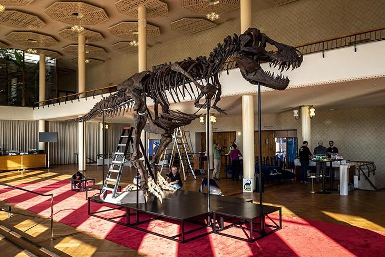 T-Rex iskeleti 6,2 milyon dolara satıldı