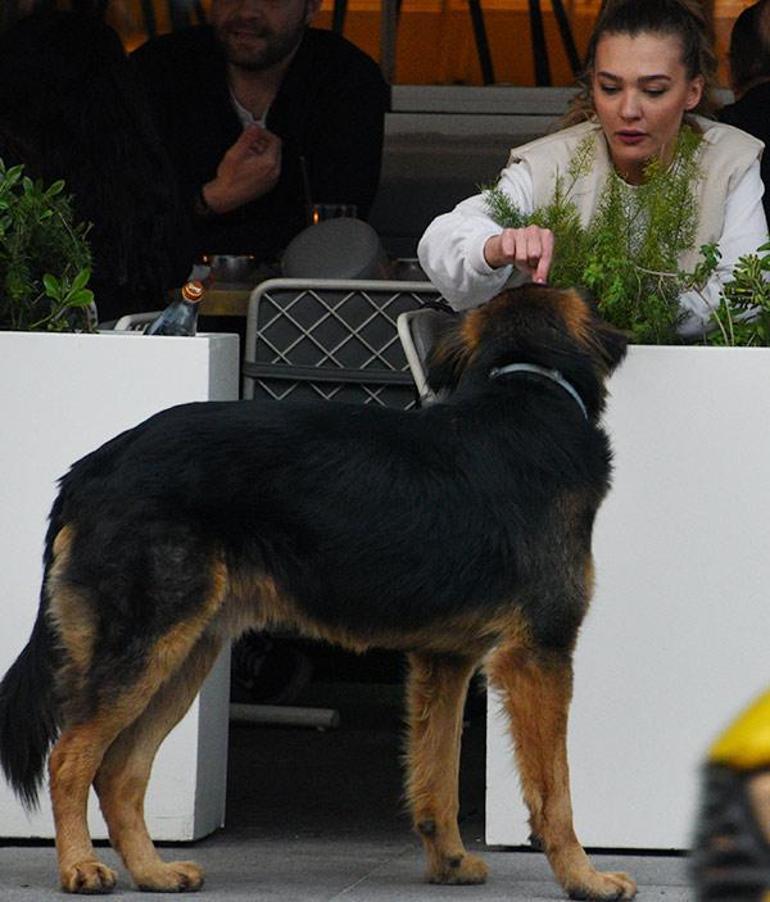 Melisa Döngel sokak köpeğini besledi