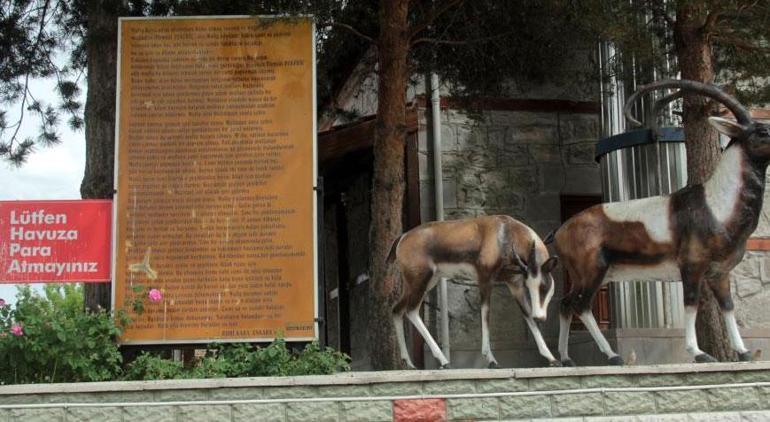 Erzincan’da şifalı su Gelen şifa buluyor, yeni anne olanlar akın ediyor