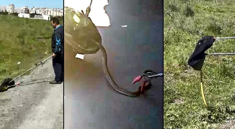 Başakşehirde korku dolu anlar Otomobilen 1,5 metre yılanı itfaiye çıkardı