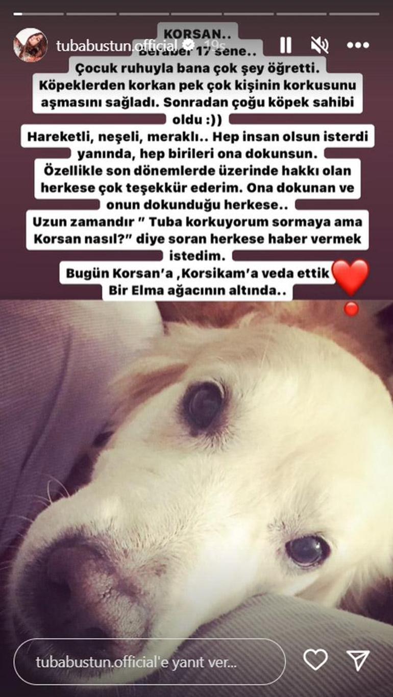 Tuba Büyüküstün köpeği Korsanı kaybetti