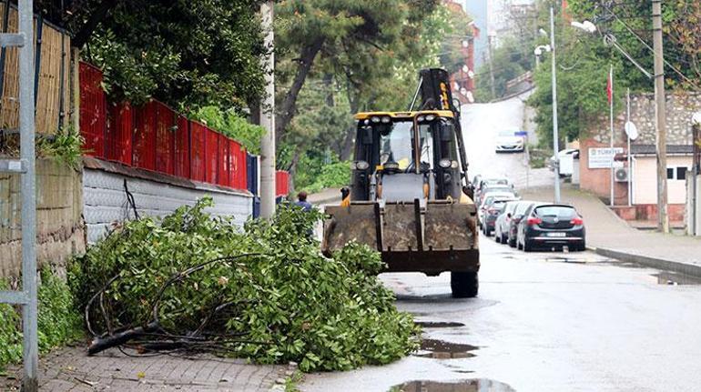 Elektrik telleriyle temas eden ağaçların budanmasına soruşturma