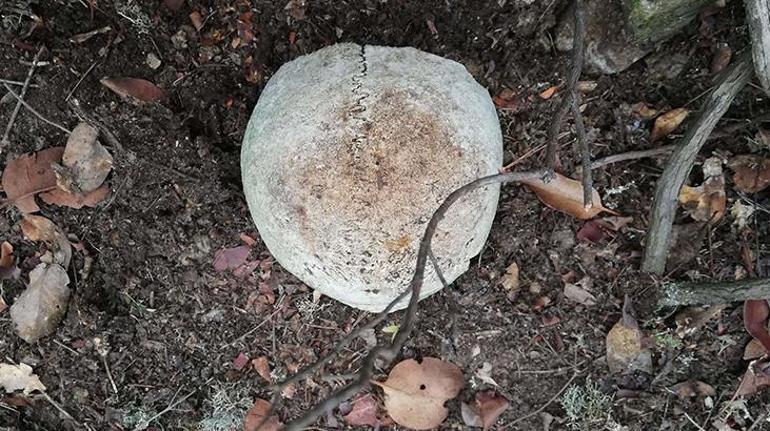 Çanakkalede 108 yıl sonra kayıp şehitlik bulundu